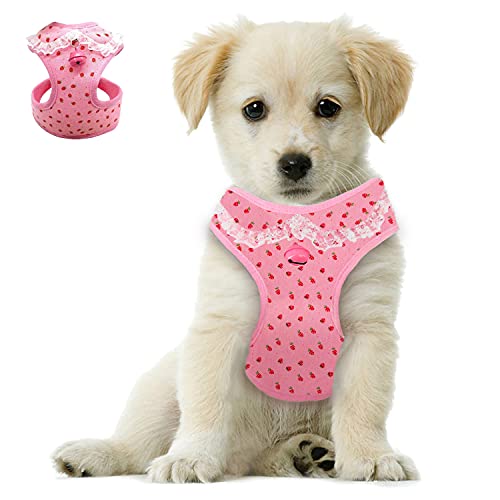 Bark Lover Pink Dog Harness for Small Dogs–No Pull Girl Dog Harness,Step-in Adjustable Puppy Harness for Cats & Small Breeds–Cute Soft Breathable Dog Vest Harness Lightweight & Comfortable(M Pink) - color: Pink, size: M