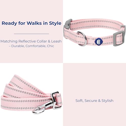 Blueberry Pet Essentials Matching Dog Collar & Leash Set | Pastel Reflective Adjustable Collar with 4 ft Lead for Large Dogs, Baby Pink - color: Baby Pink, size: Large