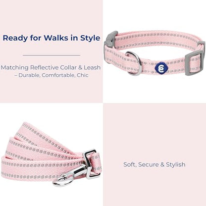 Blueberry Pet Essentials Matching Dog Collar & Leash Set | Pastel Reflective Adjustable Collar with 4 ft Lead for Large Dogs, Baby Pink - color: Baby Pink, size: Large