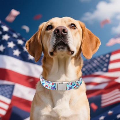 Maca Bates 4th of July Basic Dog Collar American Flag USA Patriotic 4 of 7 Dogs Collars Adjustable Soft Blue Independence Day Gift for Small Medium Large XL Boy Girl Male Female Puppy - color: July 4th-Basic-Icecream, size: S