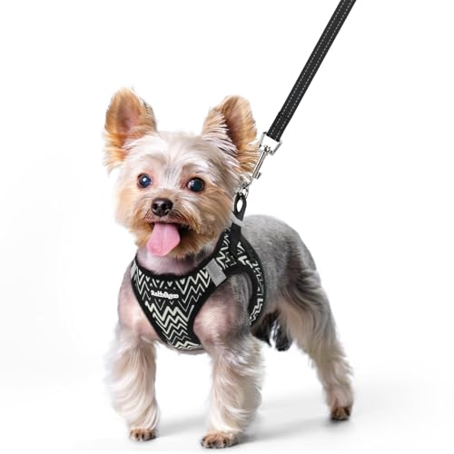 rabbitgoo Dog Harness Small Sized and Leash Set, Step in Soft Light Puppy Vest, Breathable Mesh Pet Harness, Reflective for Safe Easy Walking, Black Zigzag XS - color: Black Zigzag, size: Xs (chest: 13.3 - 15.5")