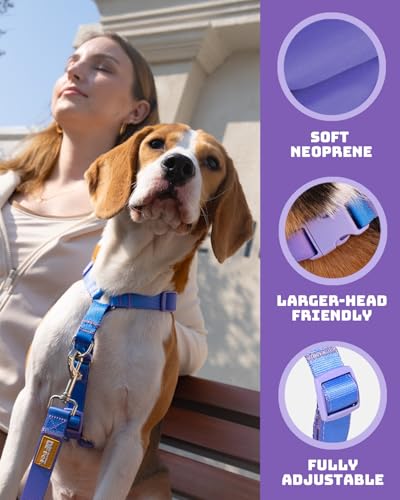 DF Freedom No Pull Martingale Dog Harness & Leash Set, Front Clip Adjustable Harness with Reflective & Padded Handle, Easy Walking & Training, Rainbow, 3/4", Chest 20" - 26.8"