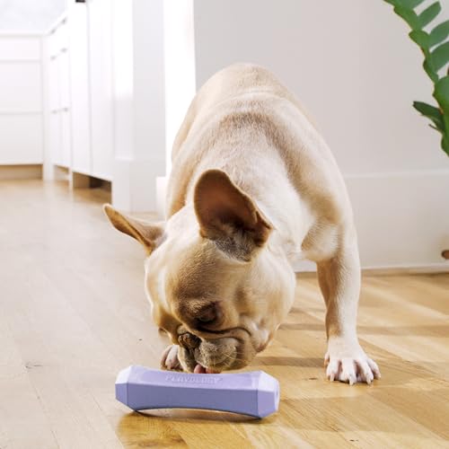 Playology Dog Toys | Squeaky Chew Stick for Dogs | Lamb Scented Medium Fetch Toy | Squeaky Dog Chew Toy - size: Medium, style: Lamb