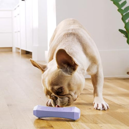 Playology Dog Toys | Squeaky Chew Stick for Dogs | Lamb Scented Medium Fetch Toy | Squeaky Dog Chew Toy - size: Medium, style: Lamb