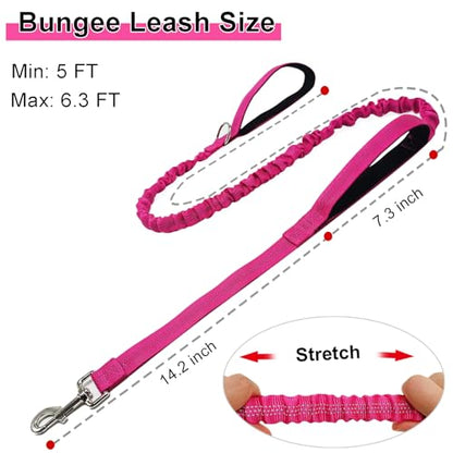 5FT Bungee Dog Leash with 2 Handles, Reflective Strong Nylon Traffic Leash, Shock Absorbing Lead for Large Medium Dogs Walking Training Controlling, Rose red - color: Rose red