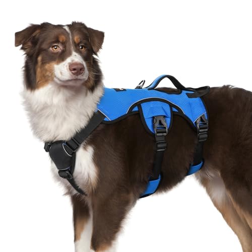 rabbitgoo Escape Proof Dog Harness, Soft Padded Full Body Pet Harness, Reflective Adjustable No Pull Vest with Lift Handle and Leash Clip for Large Dogs Walking Hiking Training, M, Blue - color: Blue, size: Medium (Pack of 1)
