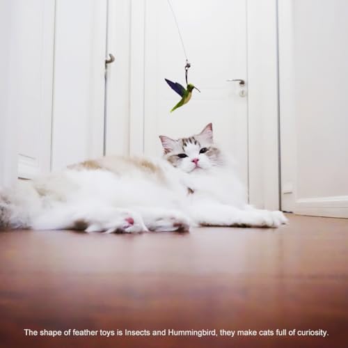 TTcat Cat Feather Toys Replacement,3 Pcs Hummingbird Insect Feathers Refills for Cat Wands. - color: 3Pcs (Insects+Hummingbird)