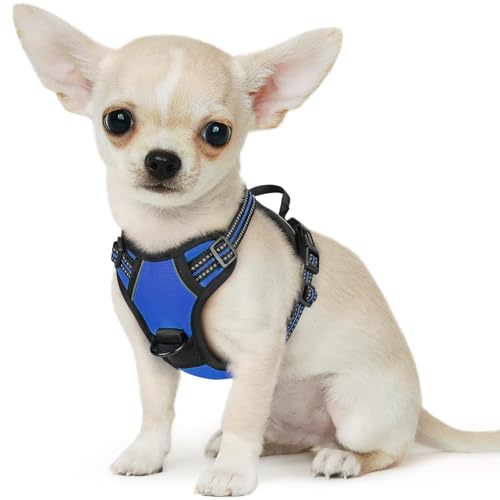 Small Dog Harness No Pull, Service Vest with Reflective Strips and Control Handle, Adjustable and Comfortable for Easy Walking, No Choke Pet Harness with 2 Metal Rings, Blue, XS - color: Blue, size: X-Small