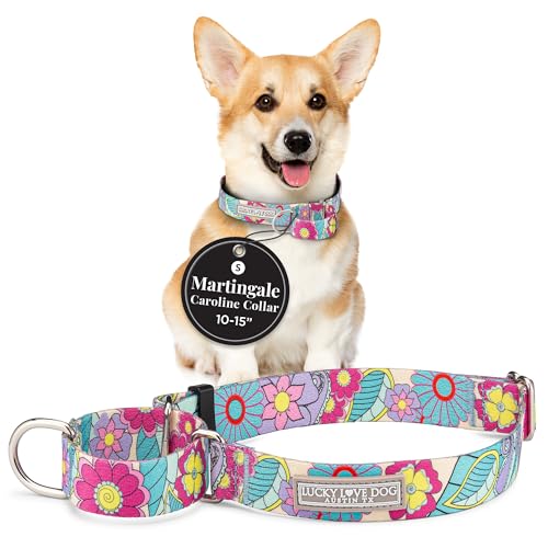 Lucky Love Dog Martingale Dog Collar - Adjustable, No-Slip, Durable, & Soft Webbing Collar for Male and Female Dogs Ideal for Training & Walking - Caroline, Small - color: Caroline, size: Small Collars (10-15")