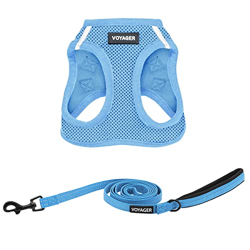 Best Pet Supplies Voyager Step-in Air All Weather Mesh Harness and Reflective Dog 5ft Leash Combo with Neoprene Handle, for Small, Medium and Large Breed Puppies - Set (Baby Blue), X-Large - color: Harness Leash Set (Baby Blue), size: XL (Chest: 20.5 - 23