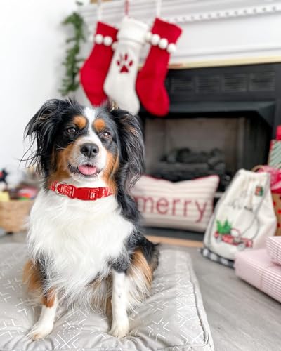 Christmas Dog Collars for Large Dogs, Quick Release Cute Xmas Dog Collar - color: Christmas, size: L