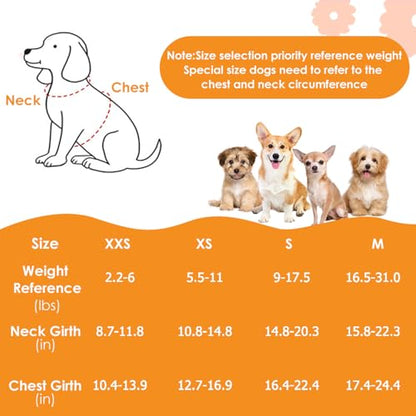 Lukovee Puppy Harness and Leash Set, No Pull Lightweight Soft Suede Adjustable Pet Harness Vest with Snap Buckle for Puppy Small and Medium Size Dog (Flower-XXS) - color: Flower, size: XX-Small ( 2.2-6lb )