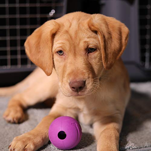 Chew King Dog Fetch Balls and Glowing Balls for Medium Breeds