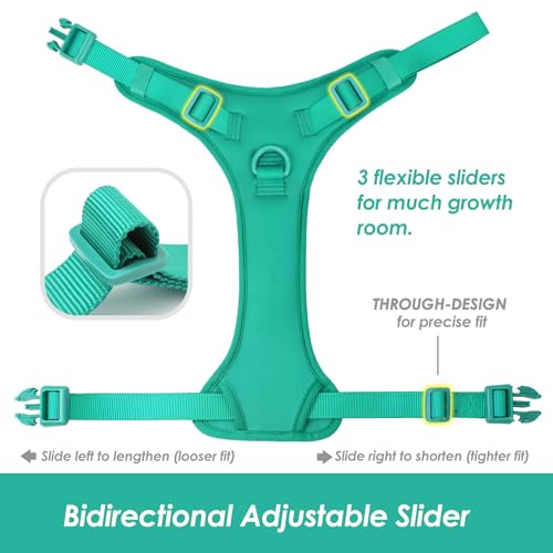 No Pull Dog Harness, Puppy Vest with Front Clip for Small Medium Large Sized Dog(MARRS Green,M) - color: MARRS Green, size: M(Neck:18.5-25.6", Chest:20.9-30.7")