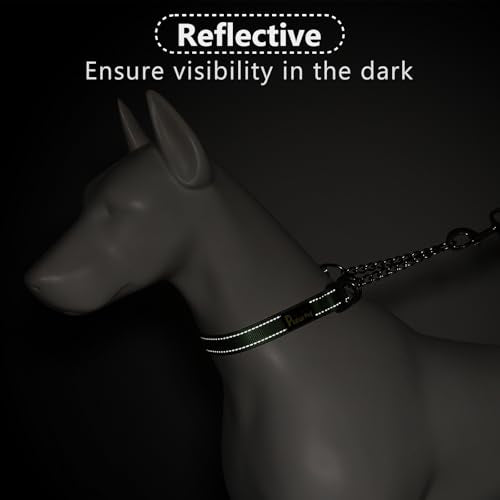 Plutus Pet Martingale Dog Collar with Stainless Steel Chain and Reflective Nylon, Adjustable No Pull Training Collar, for Small Medium, and Large Dogs, Ranger Green, S - color: Ranger Green, size: Small
