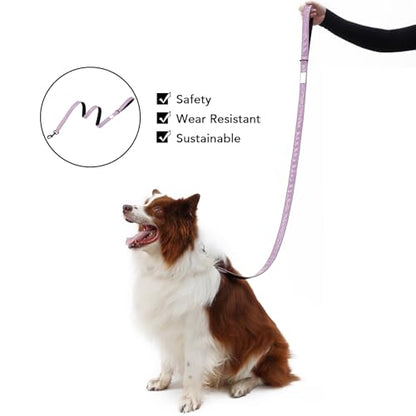 Soft Leather 4ft Dog Collar and Leash Set,Stylish 4ft PU Leather Dog Training Leash, Adjustable Durable Pet Collars with Quick Release Buckle for Large Dogs,Medium Dogs,Terracotta (Purple, 4 feet) - color: purple