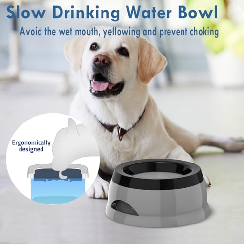 Dog Water Bowl, No Spill Cat Slow Feeder Water Dispenser Portable Vehicle Carried Car Travel Bowls for Small Medium Pets Sloppy Messy Drinkers 25oz, Grey - color: Grey