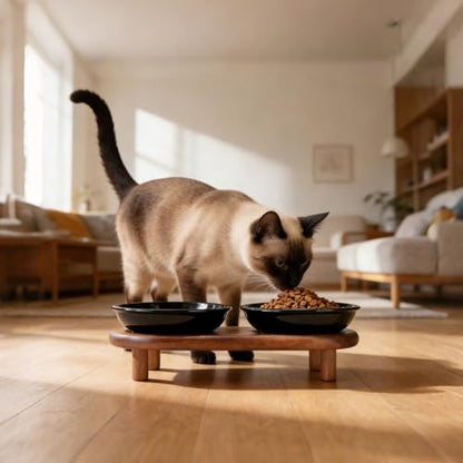 SPUNKYJUNKY Shallow Elevated Cat Bowl with Acacia Wood Stand Wide Raised Ceramic Cat Dishes Whisker Friendly Pet Food and Water Plates (Striped Pattern, Black) - color: Black