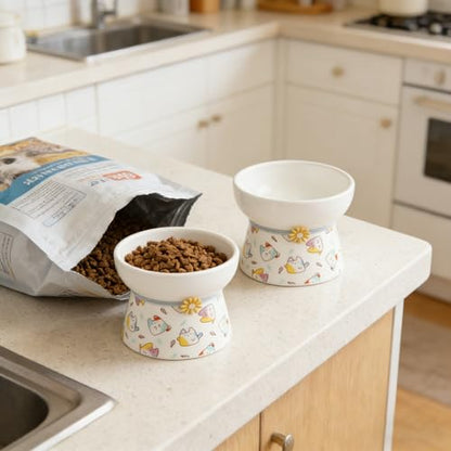Elevated Ceramic Cat Bowls, 15°Raised Cat Food Bowl, Whisker Friendly Anti Vomiting Cats Dishes, Anti Vomiting & Protect Pet's Spine, Feeder Dish for Indoor Kitty and Small Dogs (Cat Pattern) - color: Cat pattern
