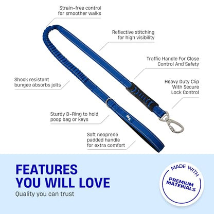 Dog Friendly Co. Bungee Dog Leash | Strain Free & Shock Resistant for Control | Neoprene Padded Handle, Heavy-Duty Carabiner Clip, and D-Ring | Classic Blue, Size Small - color: Classic Blue, size: Small