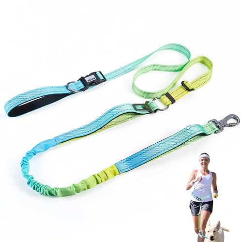 Heavy Duty Hands Free Dog Leash, 5-7 FT Reflective Adjustable Waist Dog Leash Belt with Padded Handles, Shock Absorbing Bungee and Car Seat Belt for Large Medium Dogs (Yellow Blue, XL) - color: Yellow Blue