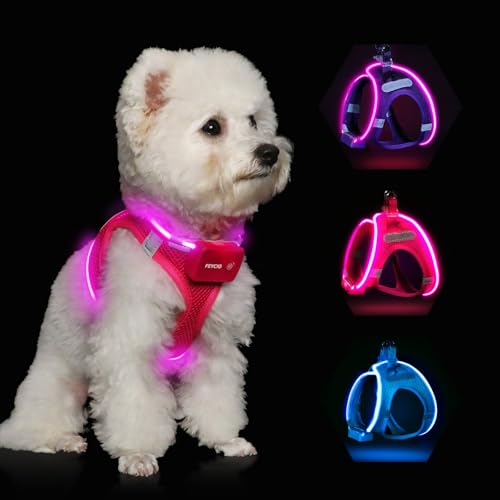 Light Up Dog Harness,Rechargeable LED Dog Harness for Small Medium Large Dogs,Reflective Lighted Safety Vest for Night Walking & Camping,Lightweight & Adjustable,Pink,L - color: Pink, size: L
