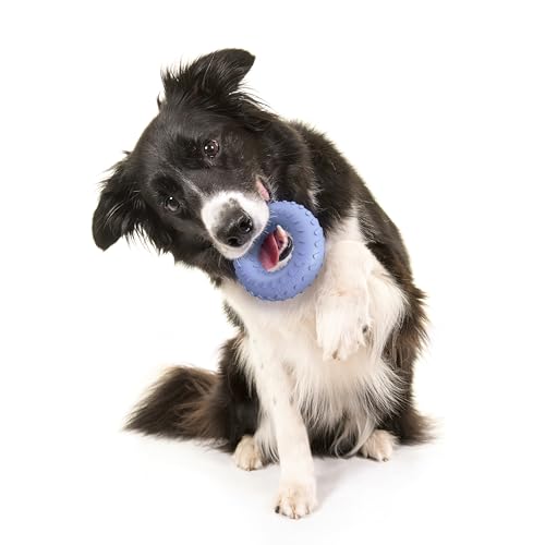 Playology Dog Toys | Dual Layer Ring Durable Dog Toy for Tough Chewers | Blueberry Scented Medium Chew Toy for Dogs - size: Medium, style: Blueberry