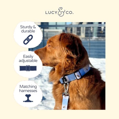 Lucy & Co. Bumbling Around Dog Collar, Adjustable Durable Dog Collar with Cute Print, Small - color: Bumbling Around, size: Small