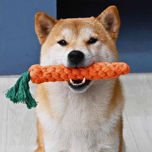 2ME 3 PCS Carrot Dog Rope Toys for Dogs, Durable Chew Toys for Aggressive Chewers, Entertainment and Interaction, Teeth Cleaning and Chewing, All-Cotton - size: 3-Pack