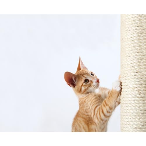 Trixie Replacement Sisal Post for Scratching Posts, Cat Trees and Cat Towers, 3.5 in x 11.8 in (9 x 30 cm) - size: 9/70 cm