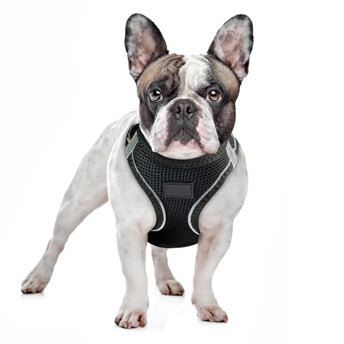 Filbert Dog Harness Large Sized Dog, Step-in Reflective Harness Large Sized Dogs, Mesh Vest, Adjustable, Soft, High Reflectivity, Breathable Fabric, Heavy Duty, Black - color: Black, size: L (Chest: 18.25 - 20.5")