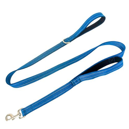 Dual Padded Handle Standard Dog Leashes with Reflective Stitching,360° Rotatable Heavy Duty Metal Buckle,D-Ring,Durable Nylon,for Medium Sized Dogs from 20 to 60 Pounds Walking and Training Blue 5Ft - color: Blue, size: 5Ft
