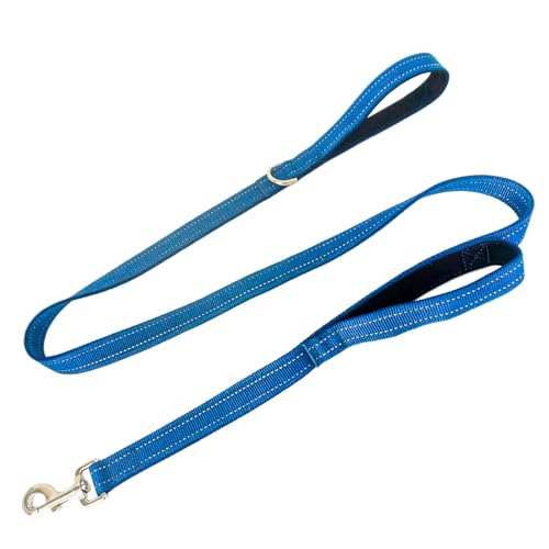 Dual Padded Handle Standard Dog Leashes with Reflective Stitching,360° Rotatable Heavy Duty Metal Buckle,D-Ring,Durable Nylon,for Medium Sized Dogs from 20 to 60 Pounds Walking and Training Blue 5Ft - color: Blue, size: 5Ft