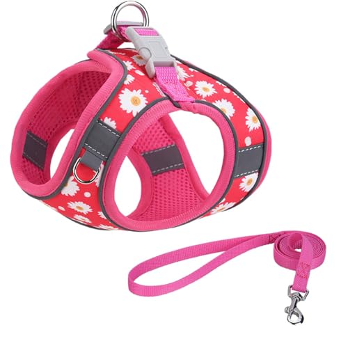 Step in Dog Harness No Pull Flower Adjustable Soft Mesh Padded Reflective Pet Vest Harness and Leash Set for Small Medium Dogs - color: Rose red, size: XXS(neck:8.5"-9.5",chest:10"-11.5")