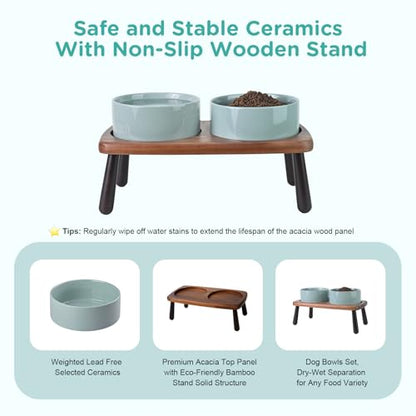 SPUNKYJUNKY Ceramic Elevated Dog Bowls Raised with Acacia Bamboo Wooden Stand, 6.1'' Dog Cat Food Water Bowls Set Non-Slip for Small Medium Sized Breed Microwave Dishwasher Safe - 28.7 OZ,Light Green - color: Light Green, size: 6.1 in - Dual