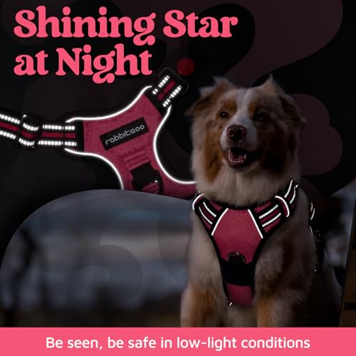 rabbitgoo Dog Harness Medium Sized, No Pull Dog Vest with 3 Buckles, Adjustable Soft Padded Pet Harness with Easy Control Handle and Reflective Strips, Pink, M - color: Pink, size: Medium