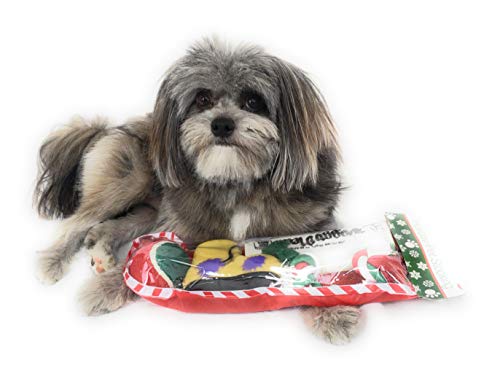 Christmas Dog Stocking Toys. Pack Assorted with Squeaker Inside of Newspaper Toy, Squeaky Boot, a red, Green & White Tennis Ball & red White & Green Knotted Rope Xmas Toy. Small Medium Large Breeds