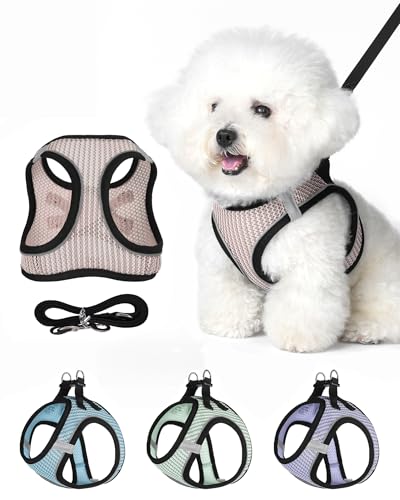 Dog Harness Small Sized and Leash Set, Step in Soft Light Puppy Vest, Breathable Mesh Pet Harness Suitable for Puppies and Kittens. (Pink, S(Chest:14.17-15.75")) - color: Pink, size: S(Chest:14.17-15.75")