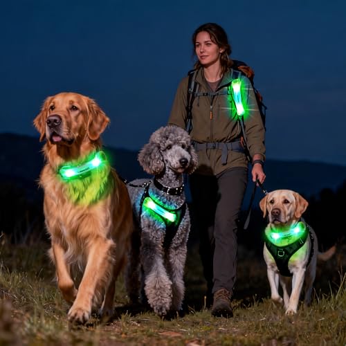 LaRoo LED Dog Collar Light, High Visibility Pet Safety Night Light with Hook & Loop, Waterproof Glow LED Strip for Dog Collar Leash Harness, Perfect for Night Walking Running, Camping, Outdoor, Green - color: Green