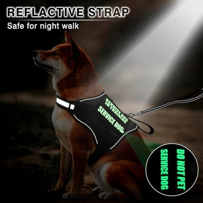 Service Dog Vest Harness and Leash Set+10 Patches,No Pull&Easy Walk Reflective Dog Harness with Soft Padded Handle for Training/Everyday,Fit Small/Medium/Large/Extra-Large Dogs (Black S) - color: Black, size: Small