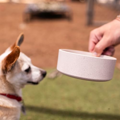 Loving Pets - Dolce Bamboo - Eco-Friendly Pet Bowls & Dishes for Dog, Cats, Puppy Food and Water Dish -Sustainable and Dishwasher Safe, Made with Real Bamboo (Medium, Oat-Beige) - color: Oat Beige, size: Medium Dish