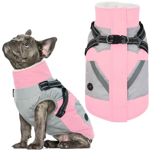 IECOii Dog Winter Coat Waterproof - Pink, Medium - Dog Coat with Harness Built in for Medium Dogs, Thermal Warm Fleece Lined with Zip Up Cold Weather Jacket, Reflective Snowsuit for Outdoor Hiking - color: Pink, size: Medium(Chest:20.9 in)
