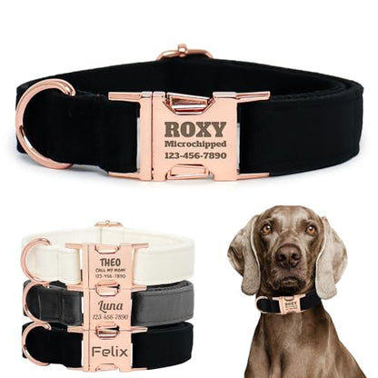 Personalized Velvet Dog Collar with Name - Custom Engraved Buckle, Adjustable Luxury Velvet Collar for Small Medium Large Dogs (Black, M) - color: Black, size: M