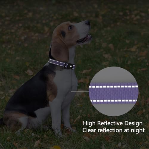 Reflective Dog Collar Padded with Soft Neoprene Breathable Quick Release Basic Dog Collars for Medium Dogs Purple Girl - color: Purple, size: M:width 3/4"neck 14-20.5"