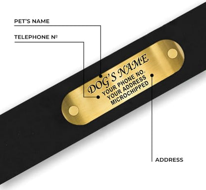 Regal Dog Products Medium Black with Custom Engraved Waterproof Dog Collar and Leash Set | Waterproof Dog Collar with Double Buckle & D Ring - 5'ft Leash | Matching Dog Collar and Leash for Dogs - color: Black, size: Medium Collar with leash