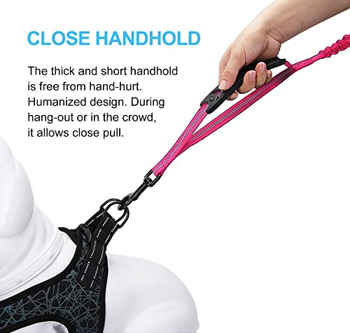 6FT Highly Reflective Heavy Duty Elastic Bungee Medium and Large Dog Leash Shock Absorbing with Comfortable Padded Handle and Traffic Handle Suitable for Training Hot Pink - color: Hot Pink