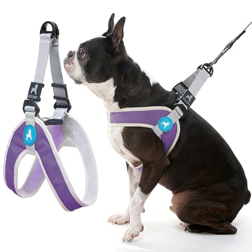 Gooby Simple Step in III Harness - Purple, Medium - Small Dog Harness with Scratch Resistant Outer Vest - Soft Inner Mesh Harness for Small, Medium Dogs - color: Purple, size: Medium chest (16.75∼21.5")