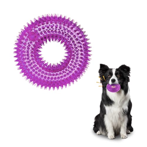 Andiker Squeaky Dog Toy, Safe TPR Chewable Dog Toys for Teeth Grinding&Cleaning Dog Fetch Toys for Enhancing Interactivity Outdoor Suitable for All Dog Sizes Puppy’s and Dogs (Large Purple) - size: Large Purple