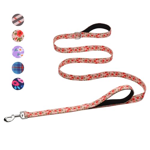 Hikiko 5 Foot Double Handle Dog Leash Cute Girl Padded Traffic Handles for Walking Training (Cream Natural Floral, 5ft) - color: Cream Natural, size: 1 in x 5 ft