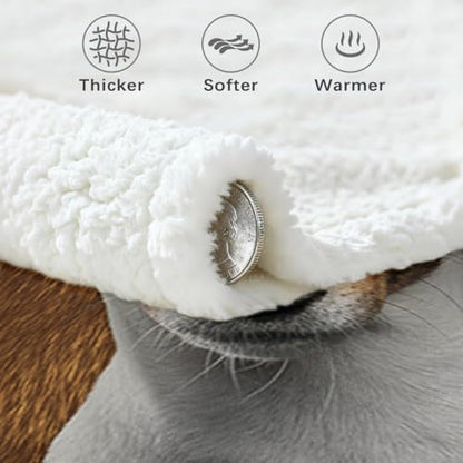 BlessLiving Basenji Throw Soft Blanket Sherpa Fleece Lined Blanket Pet and Dog Lovers Home Throw Blankets (Twin, 60 x 80 Inches) - color: Basenji, size: Twin, 60 x 80 Inches